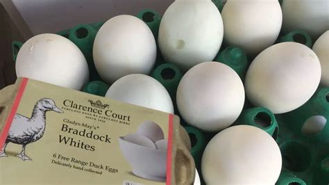 How To Boil Duck Eggs To Perfection (Boiling Times And Tips).